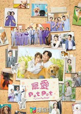 宠爱Pet Pet粤语